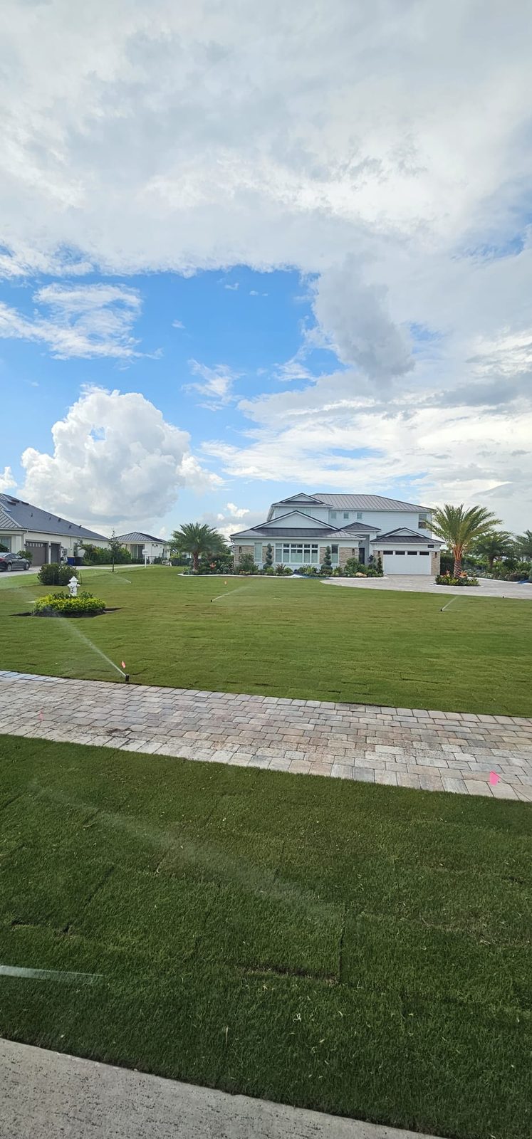 Front lawn with lush new sod and running sprinklers after installation
