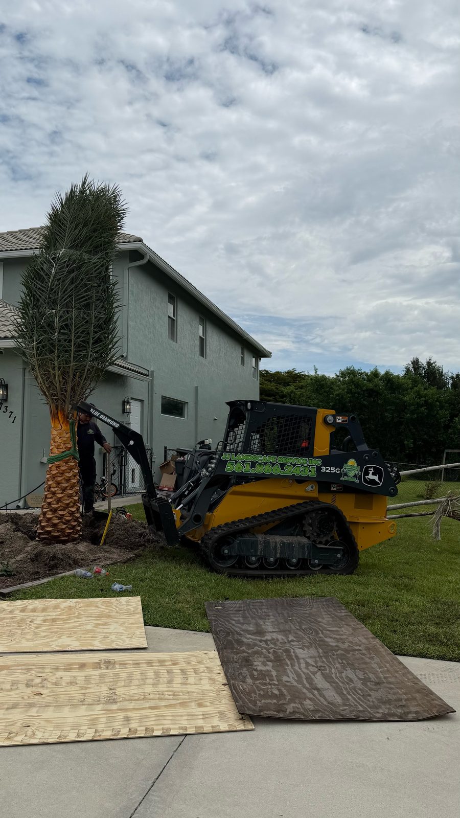 JJ Landscape Service crew installing a large Sylvester palm with branded skid steer loader