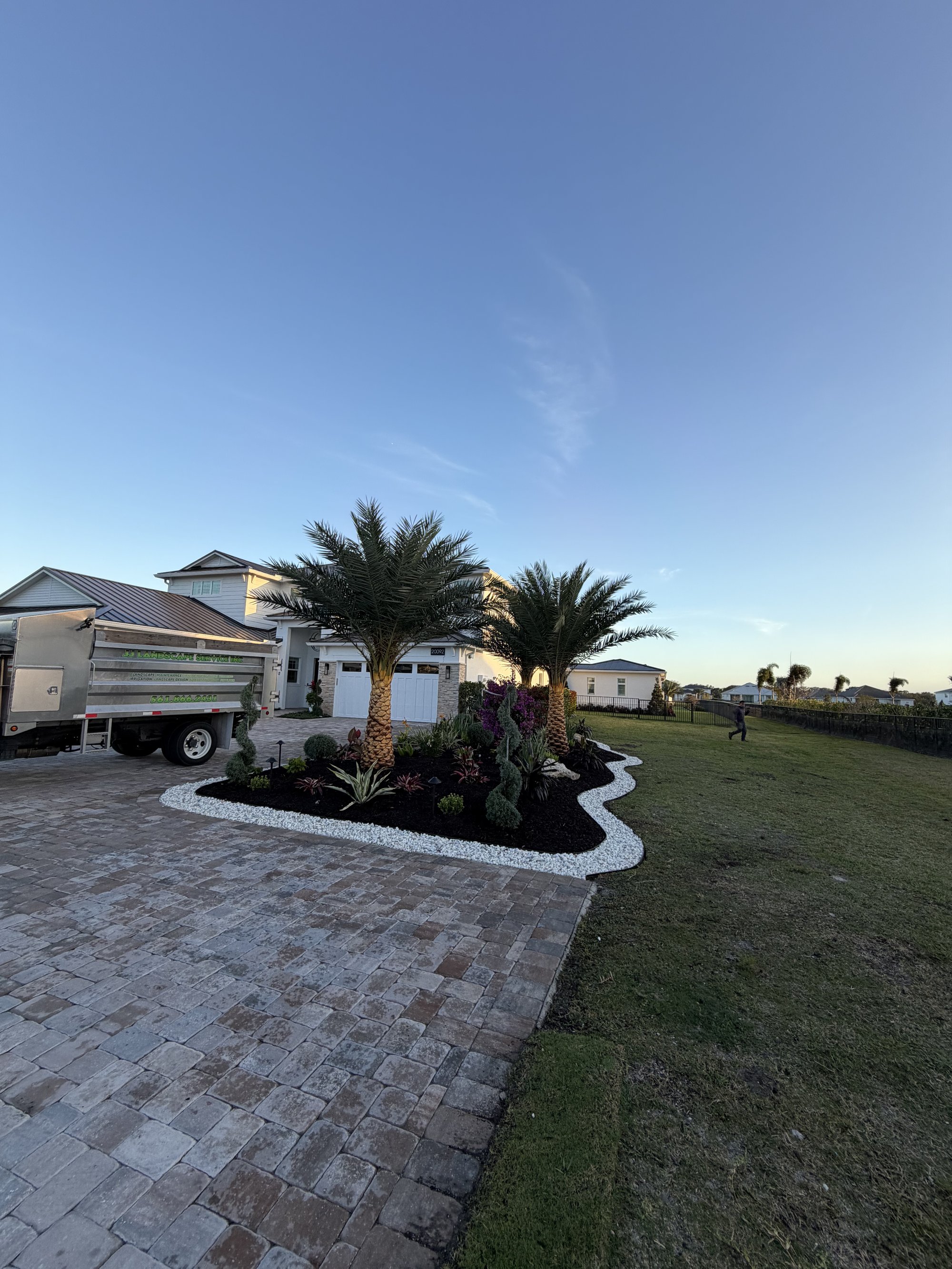 Driveway landscape with palms and white stone edging