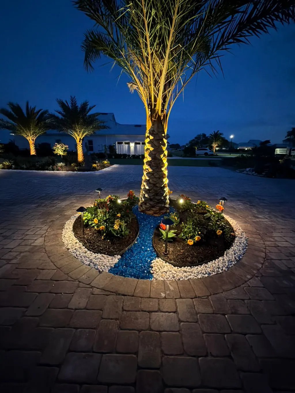 Custom landscape lighting around centerpiece palm and water feature